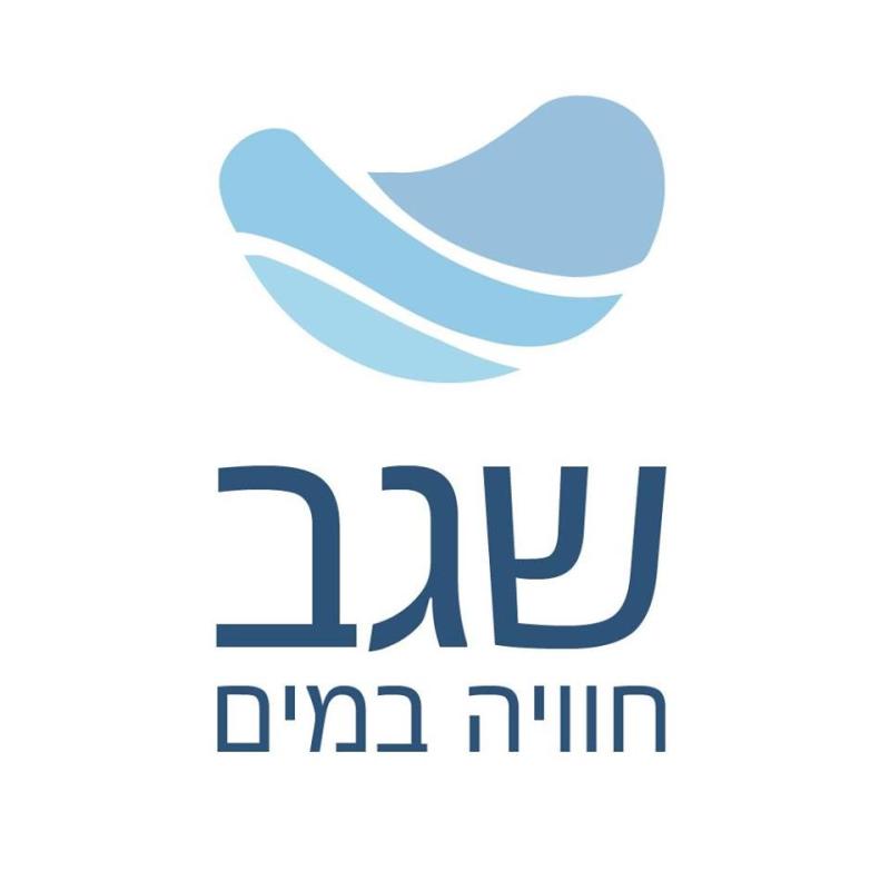 שגב 